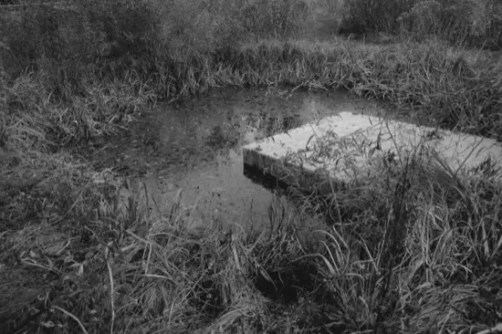Landscapes (Stages) — photograph 2