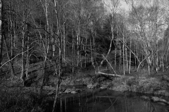 Landscapes (Stages) — photograph 3