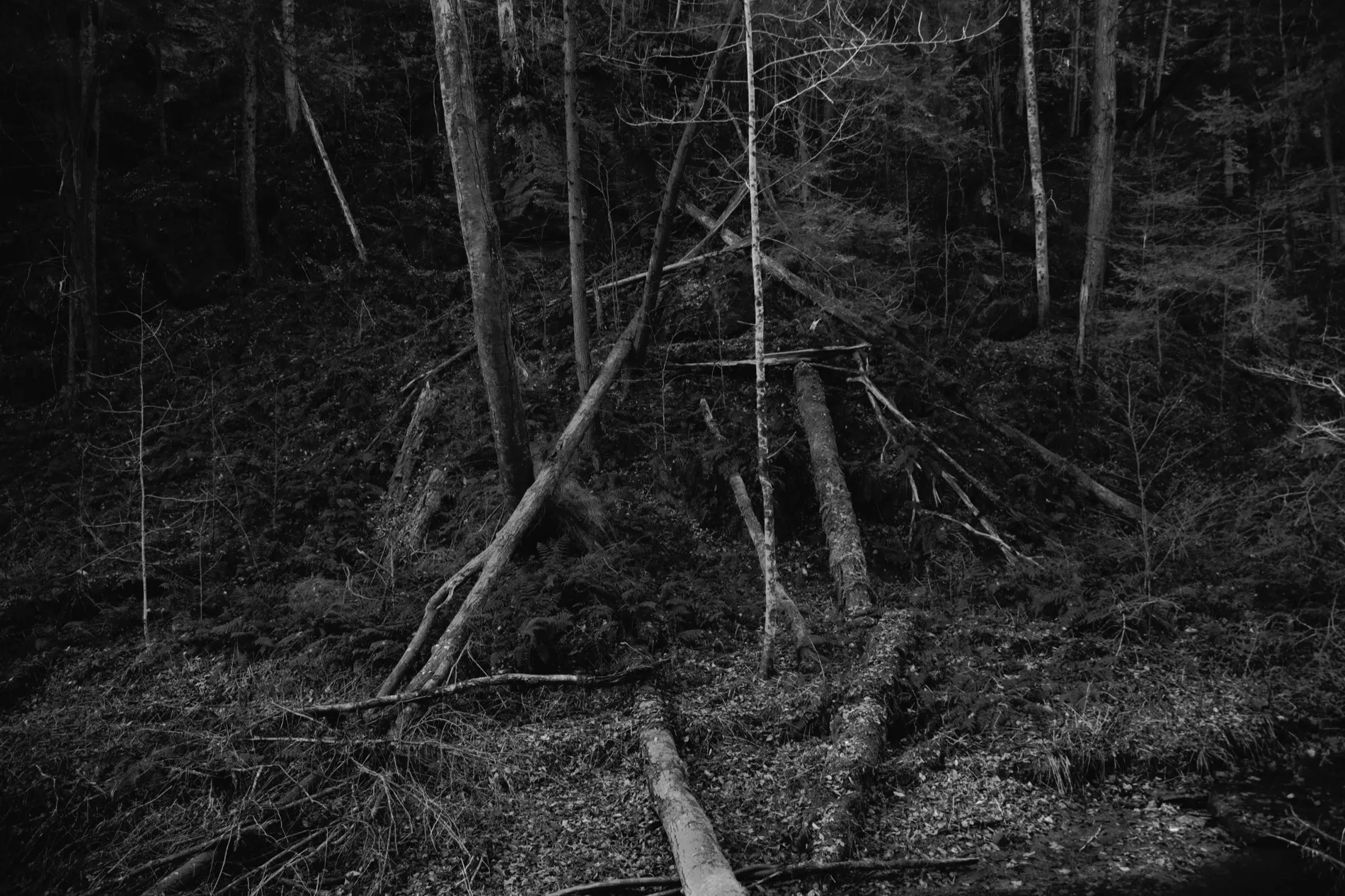 Landscapes (Stages) — photograph 4